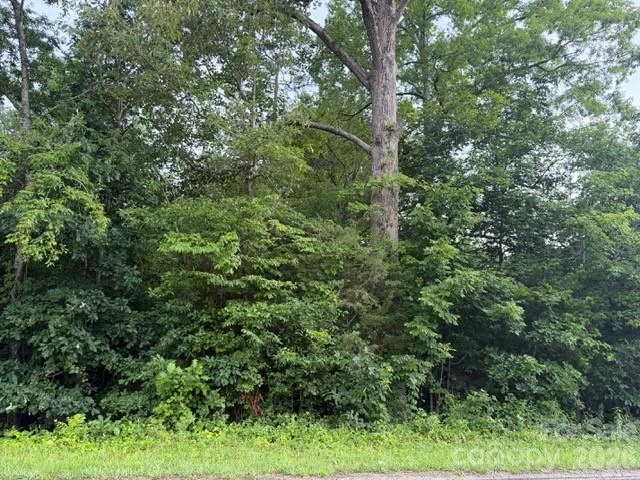 00 Bill Collins Road - Photo 15