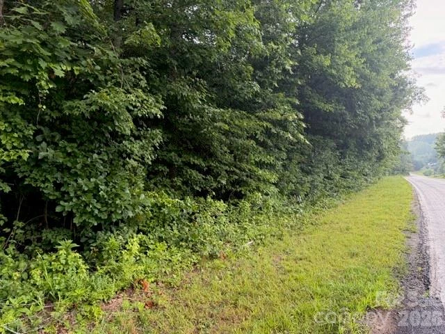 00 Bill Collins Road - Photo 16