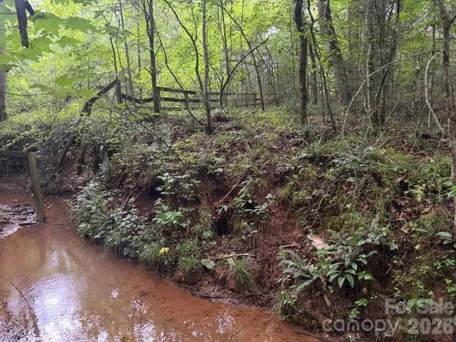 00 Bill Collins Road - Photo 4