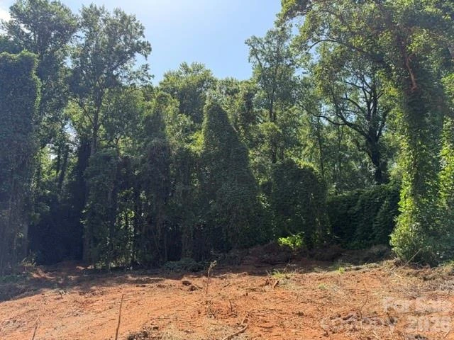 00 Bill Collins Road - Photo 6