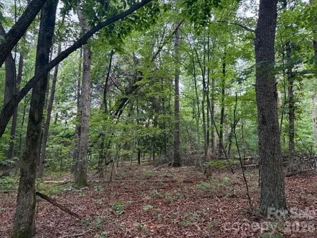 00 Bill Collins Road - Photo 7