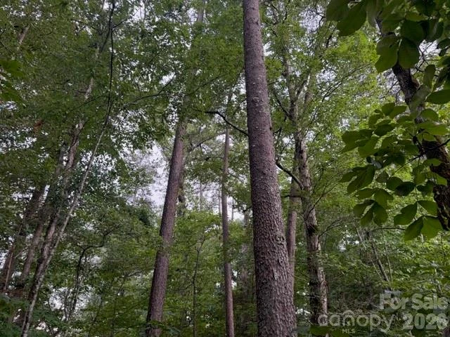 00 Bill Collins Road - Photo 10