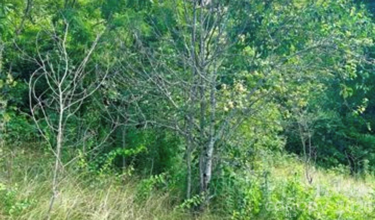 00 Split Pine Cove - Photo 3