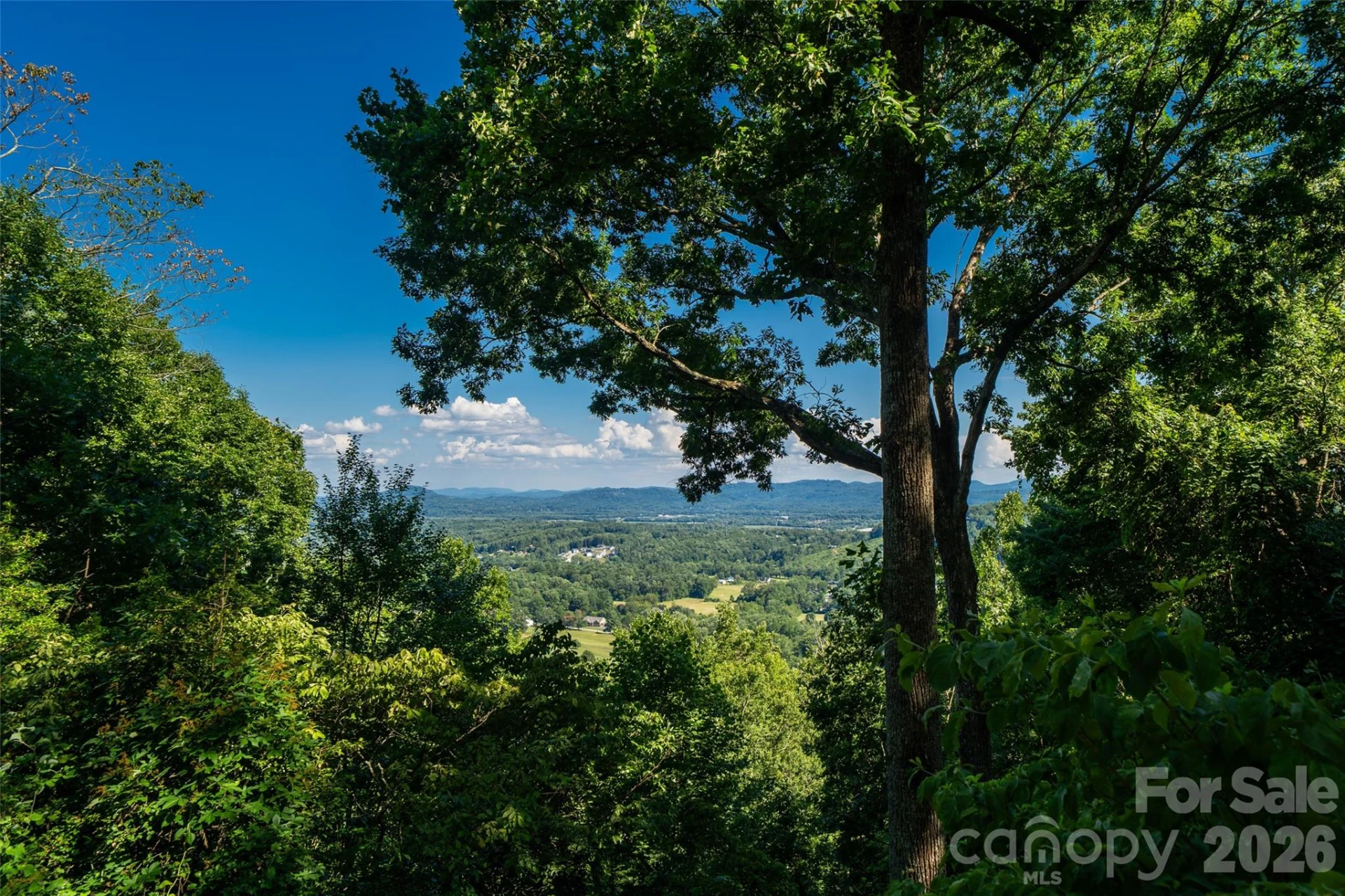 27 Walnut Drive - Photo 5