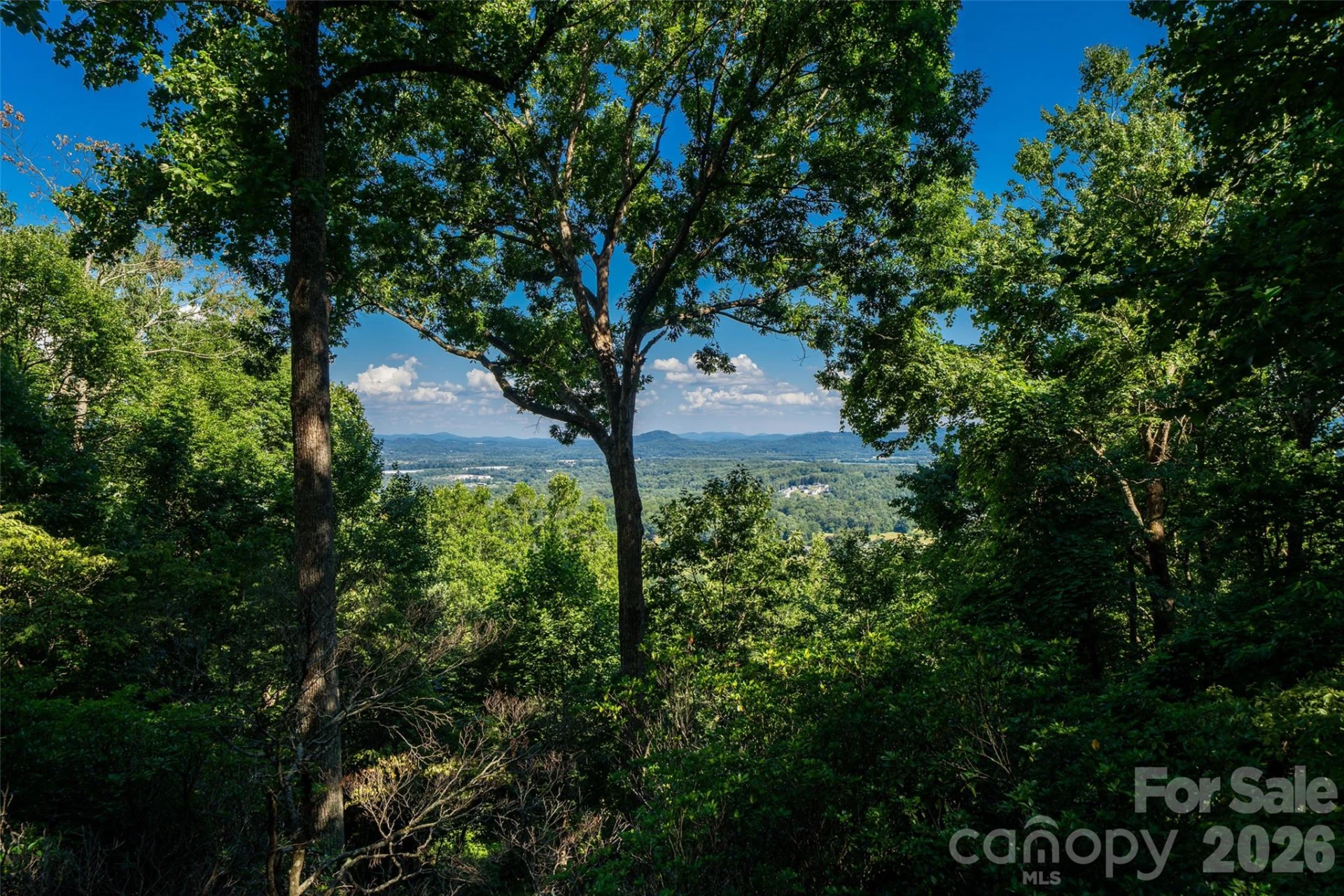 27 Walnut Drive - Photo 6