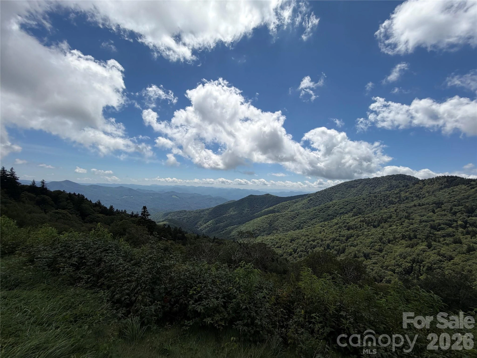 64 Big Spruce Lane - Photo 47