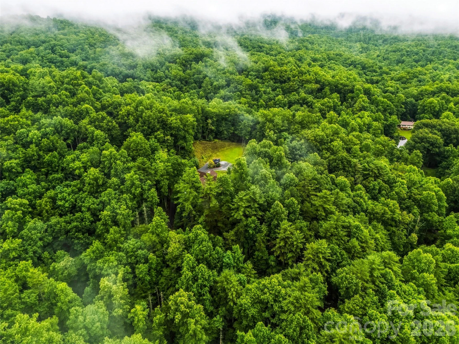 280 Laurel Creek - Photo 43