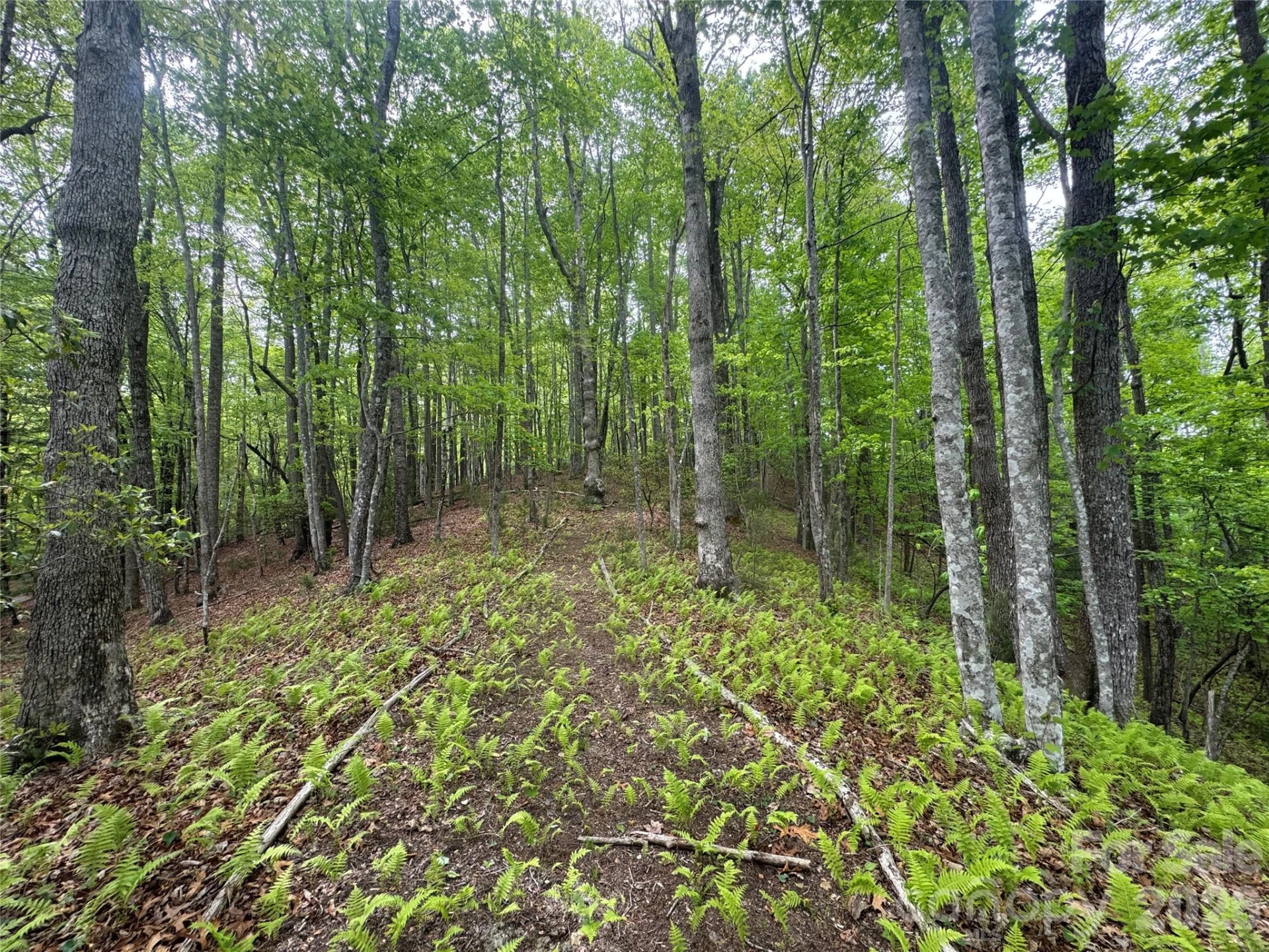 280 Laurel Creek - Photo 45