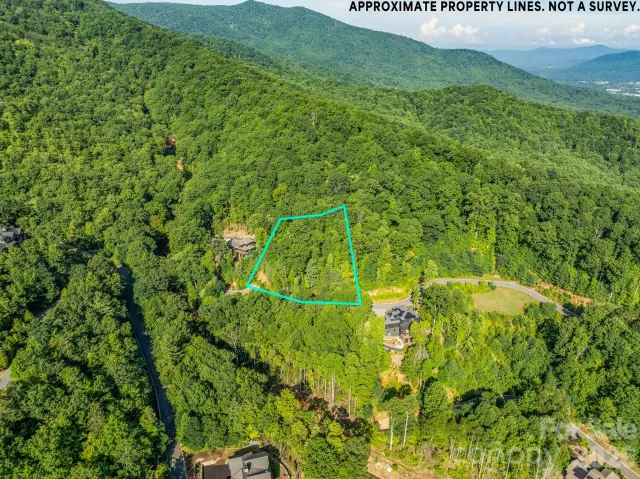 59 Old Greybeard Loop, Black Mountain, NC, 28711