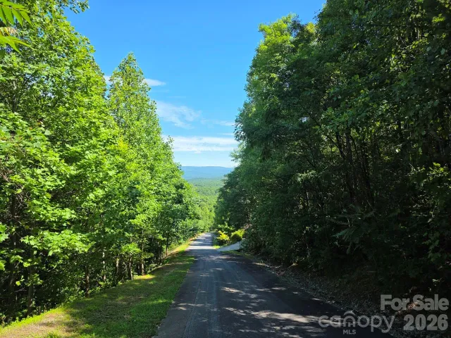 52 Big View Drive, Marion, NC, 28752