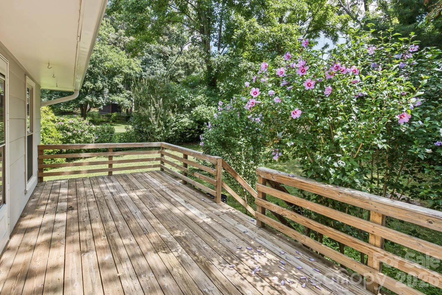 17 Rhododendron Place - Photo 32