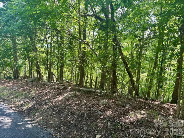 Lot 13 Crab Apple Court, Lake Lure, NC, 28746
