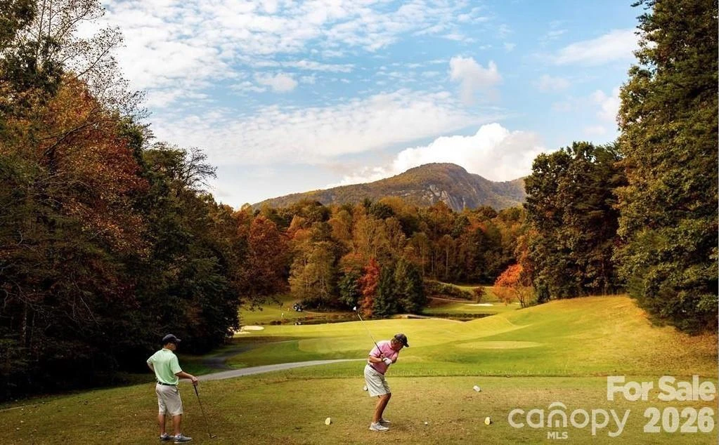 Lot 13 Crab Apple Court - Photo 4