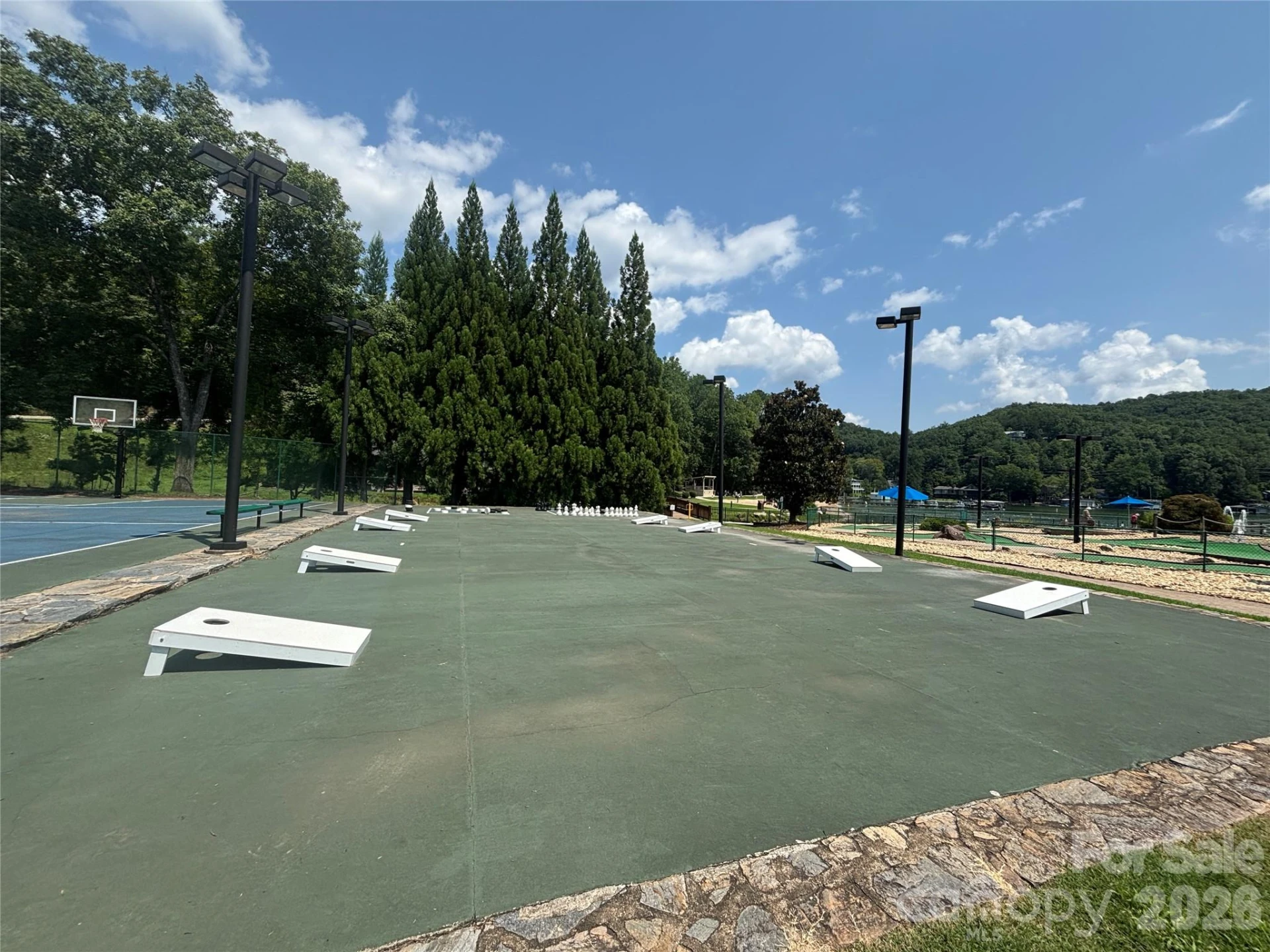 Lot 13 Crab Apple Court - Photo 13
