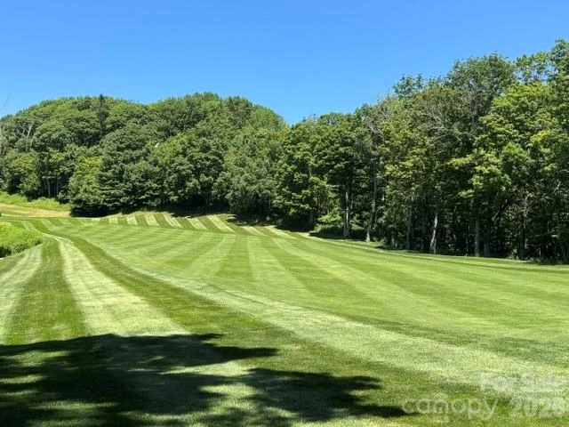 1209 Mckinney Gap Drive - Photo 23