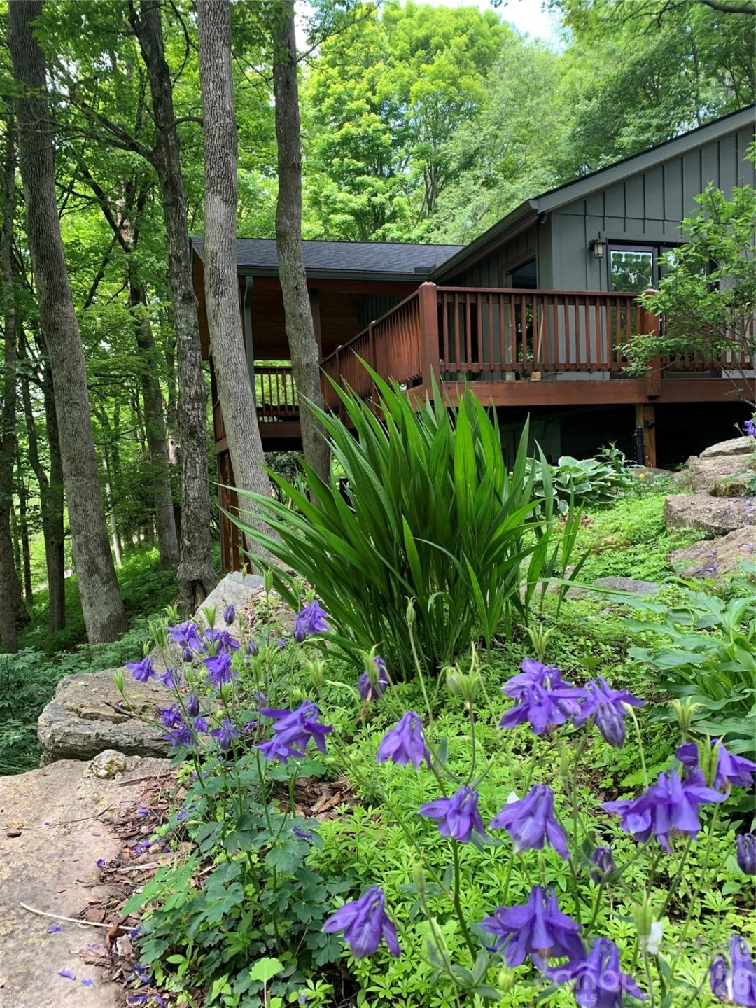 1209 Mckinney Gap Drive - Photo 5