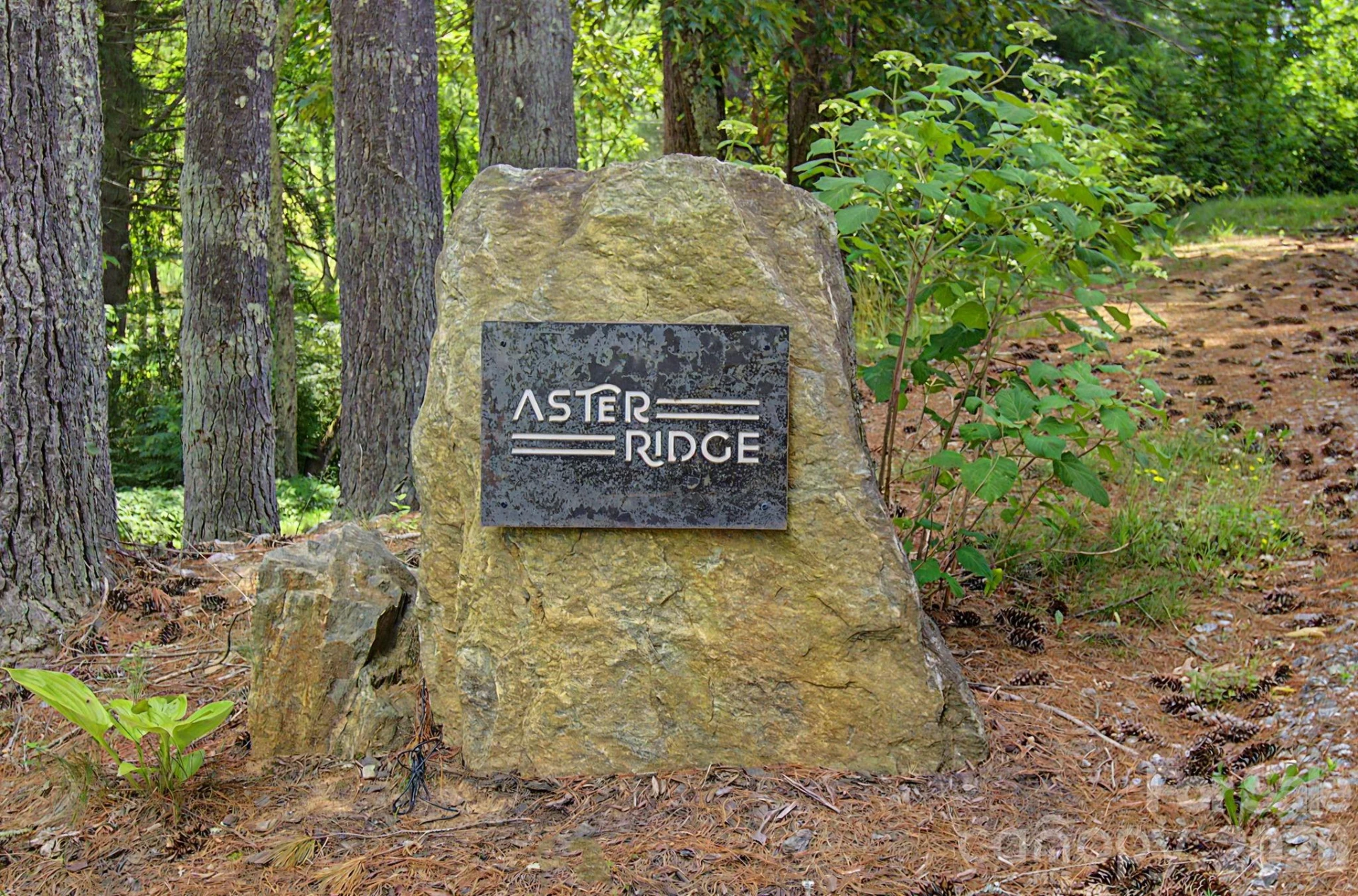 34 Aster Ridge Drive - Photo 45