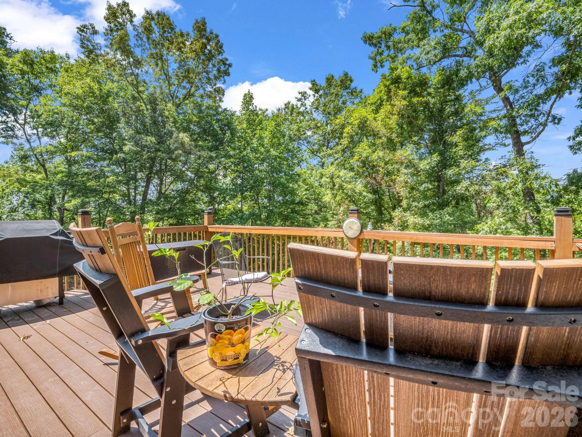 180 Mountain Ridge Drive - Photo 21