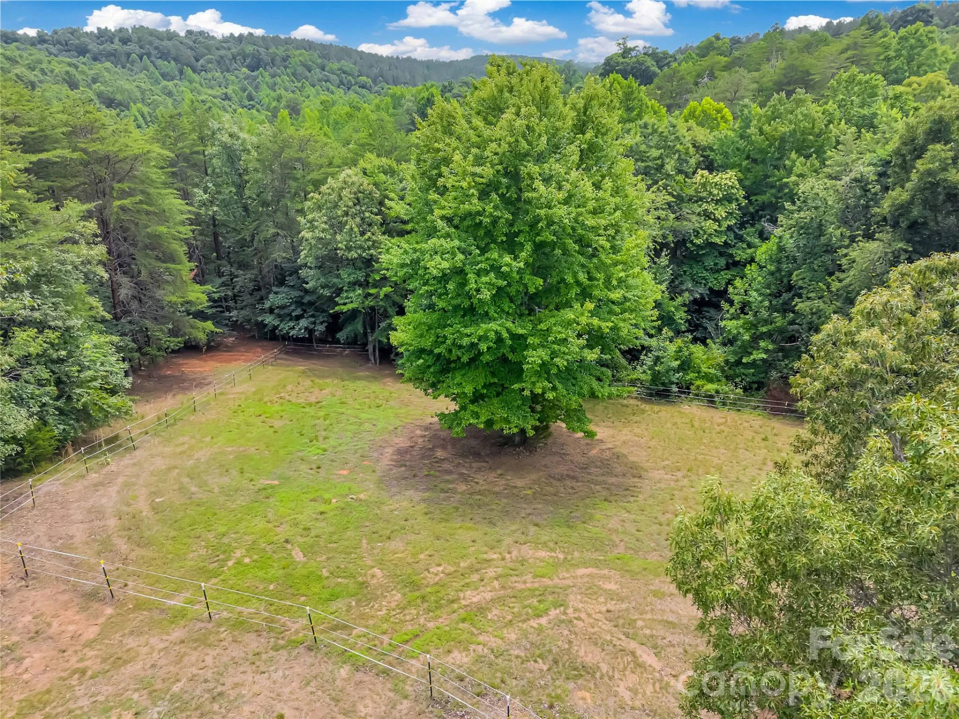 711 Meadow Crest Road - Photo 4