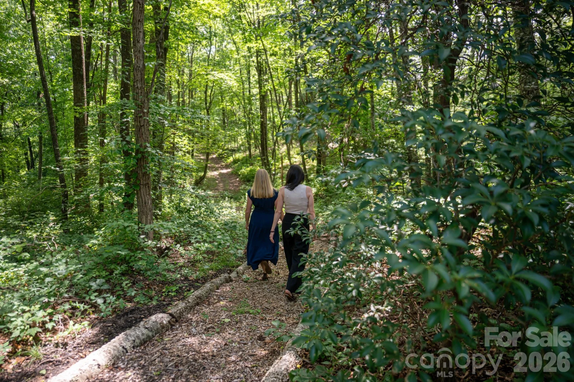 403 Thunder Mountain Road - Photo 45