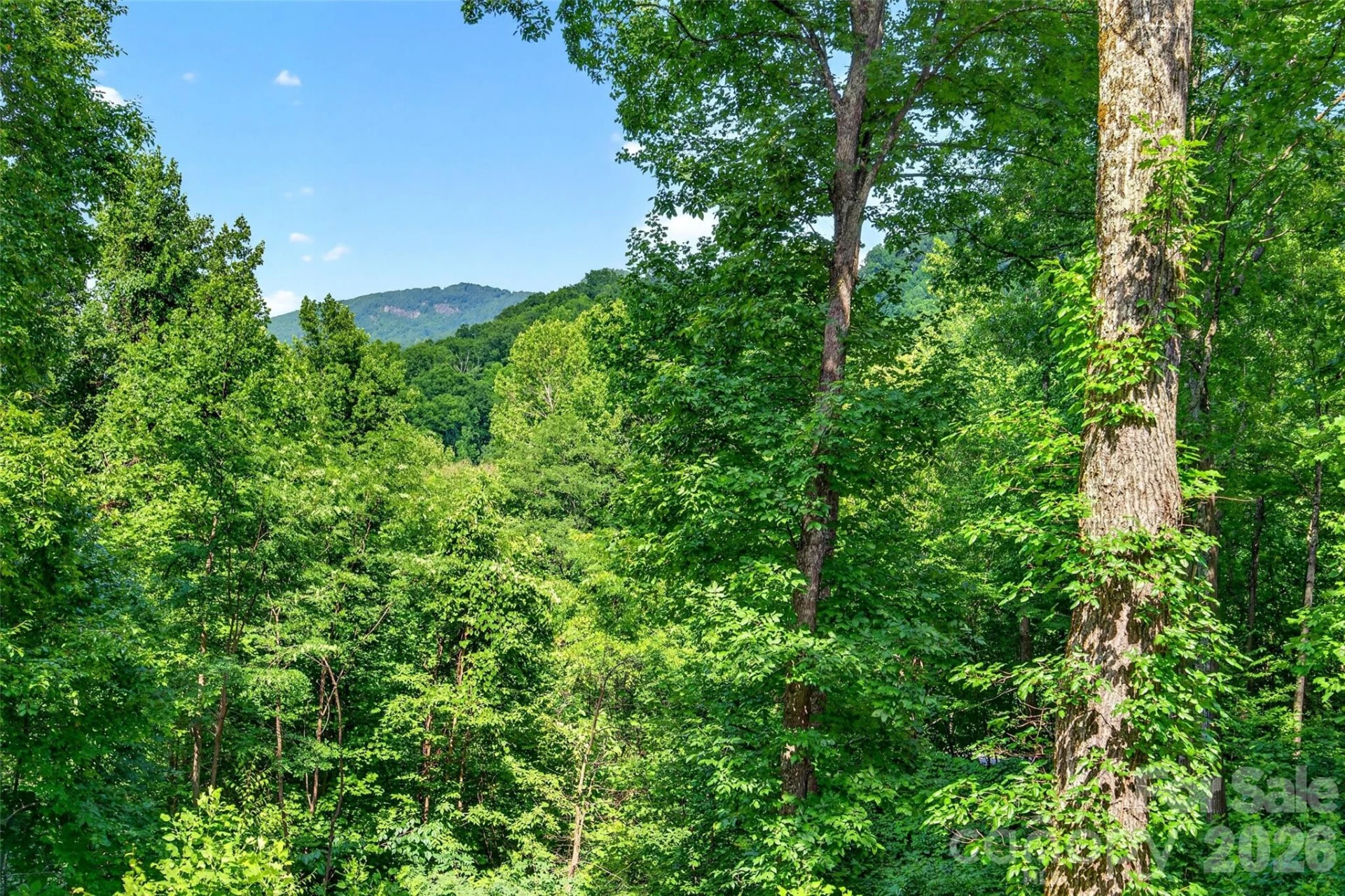 771 Sally Gap Road - Photo 11