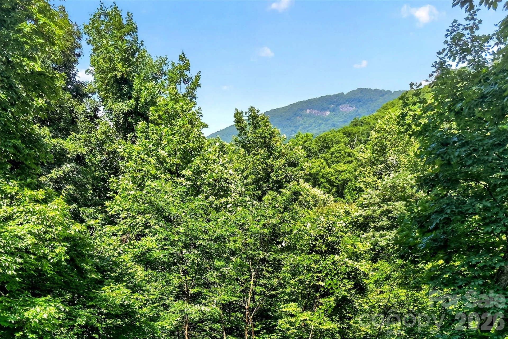 771 Sally Gap Road - Photo 12