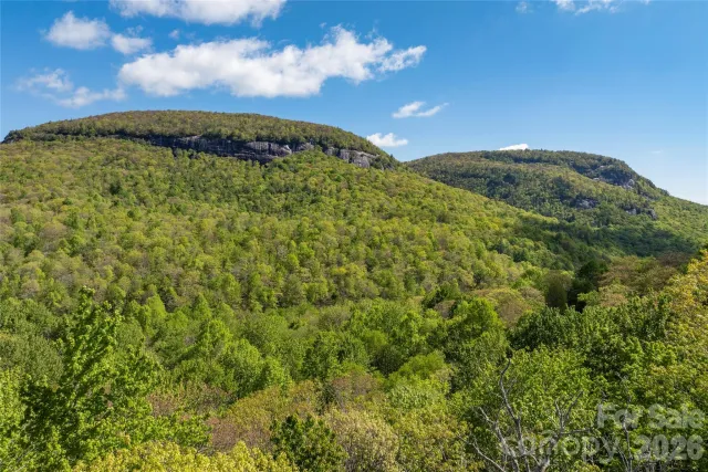TBD Long Ridge Road, Lake Toxaway, NC, 28747