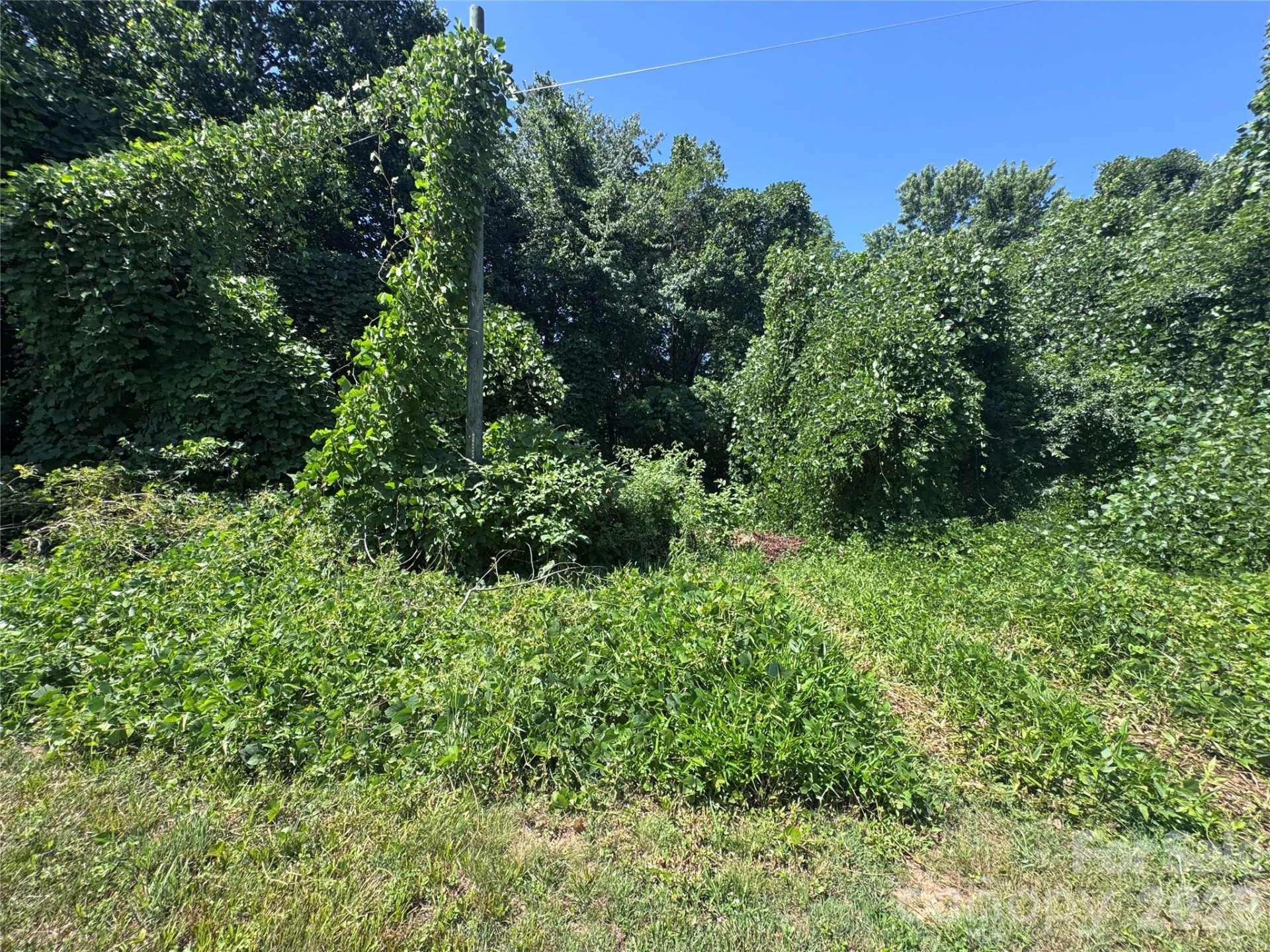 000 Miller Avenue - Photo 10