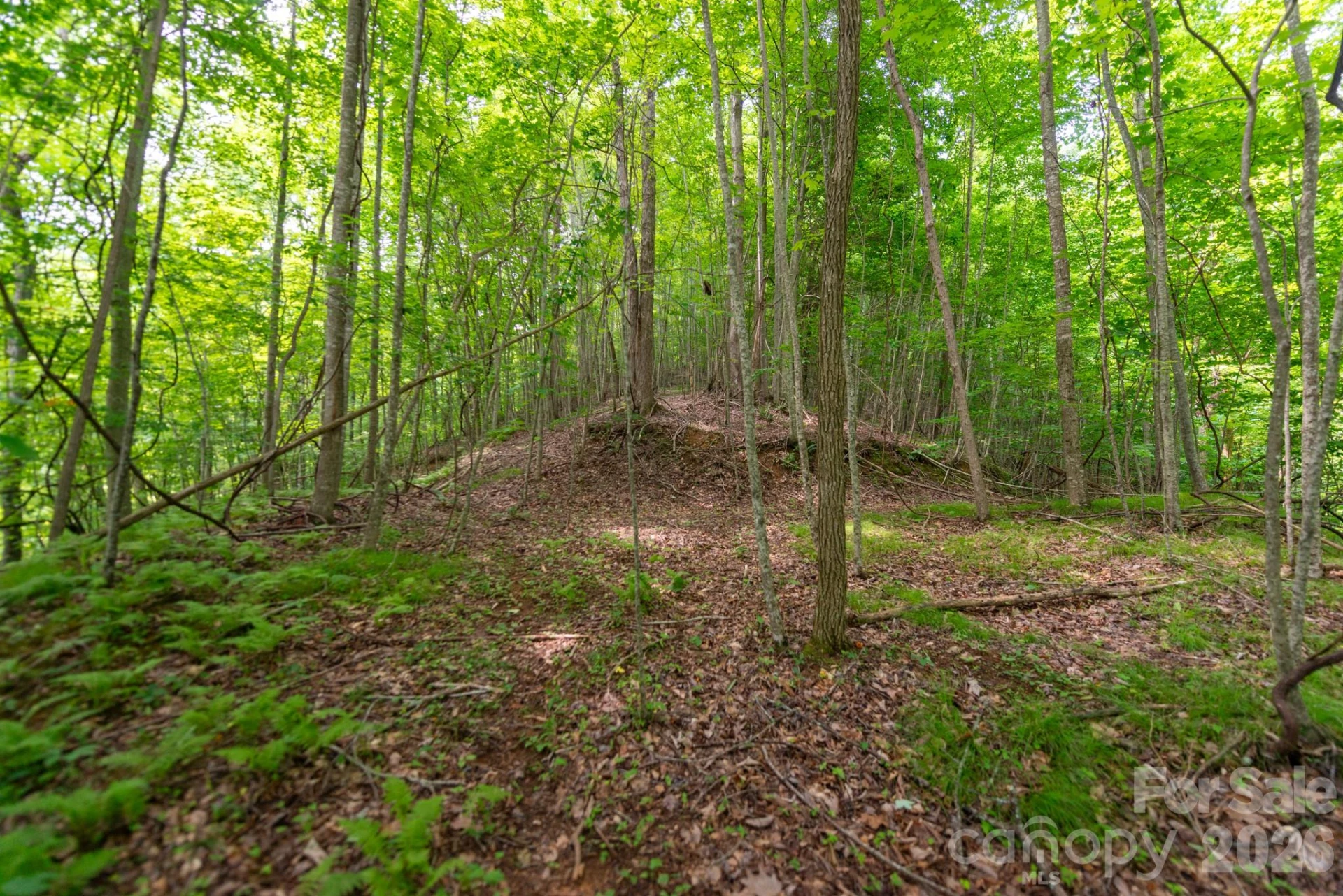 ### Board Tree Road #2