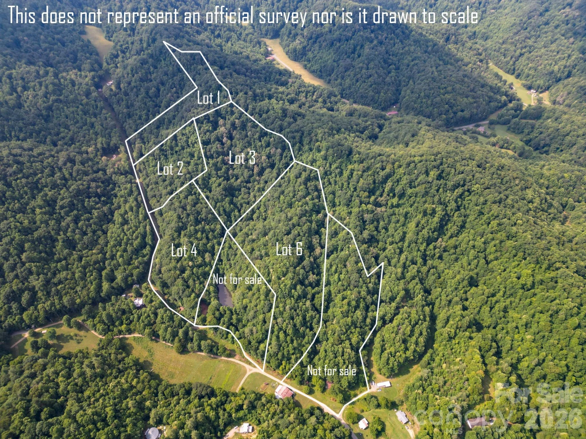 ### Board Tree Road #3 - Photo 2