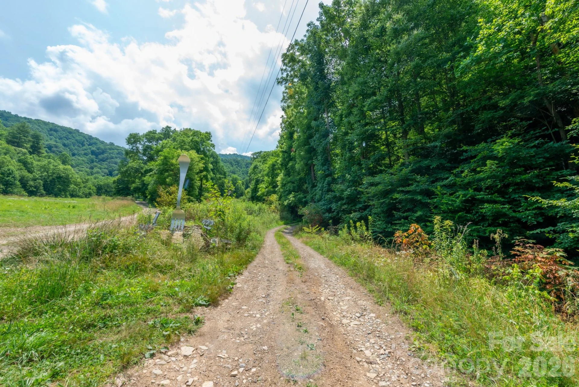 ### Board Tree Road #3 - Photo 12