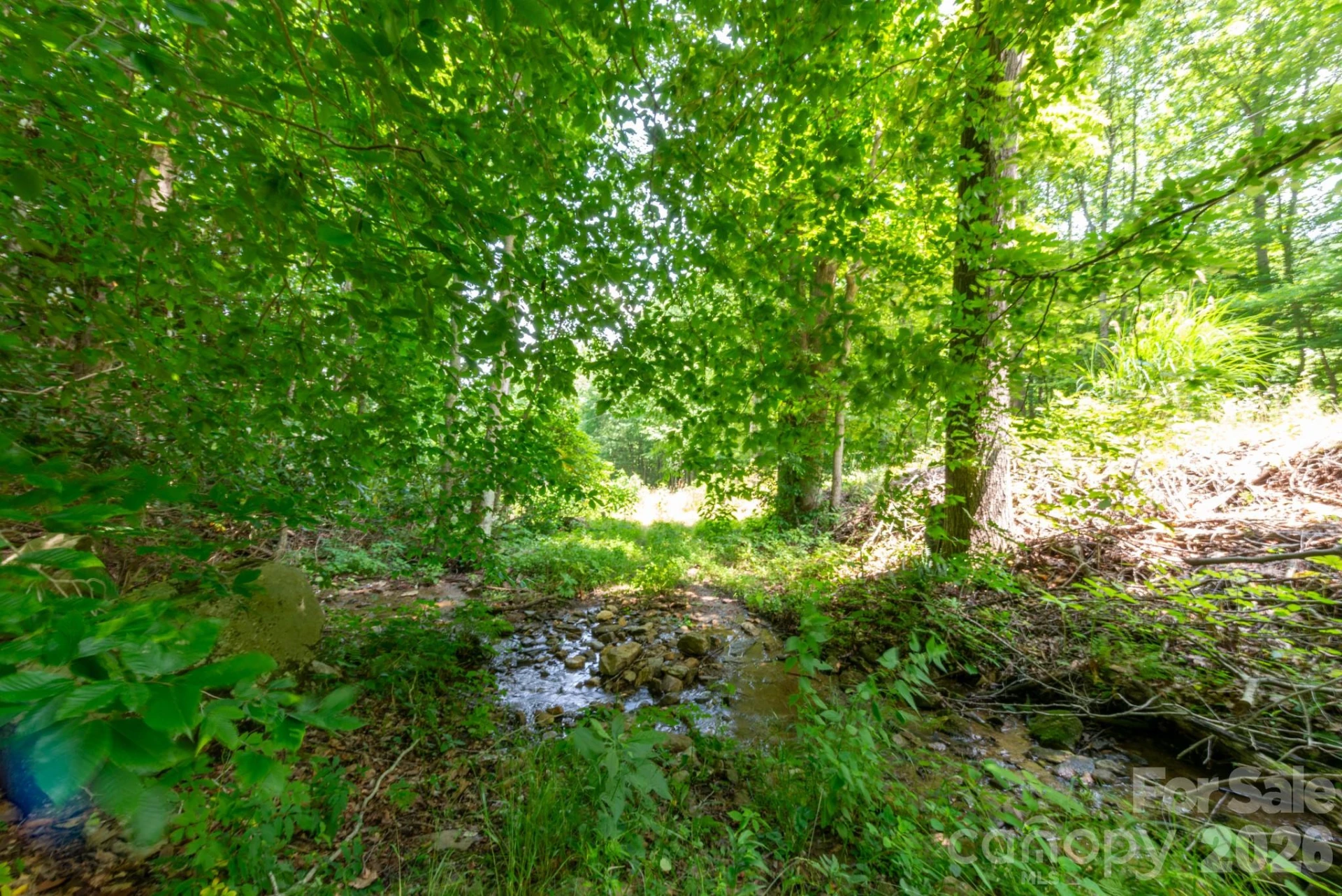### Board Tree Road #4 - Photo 13