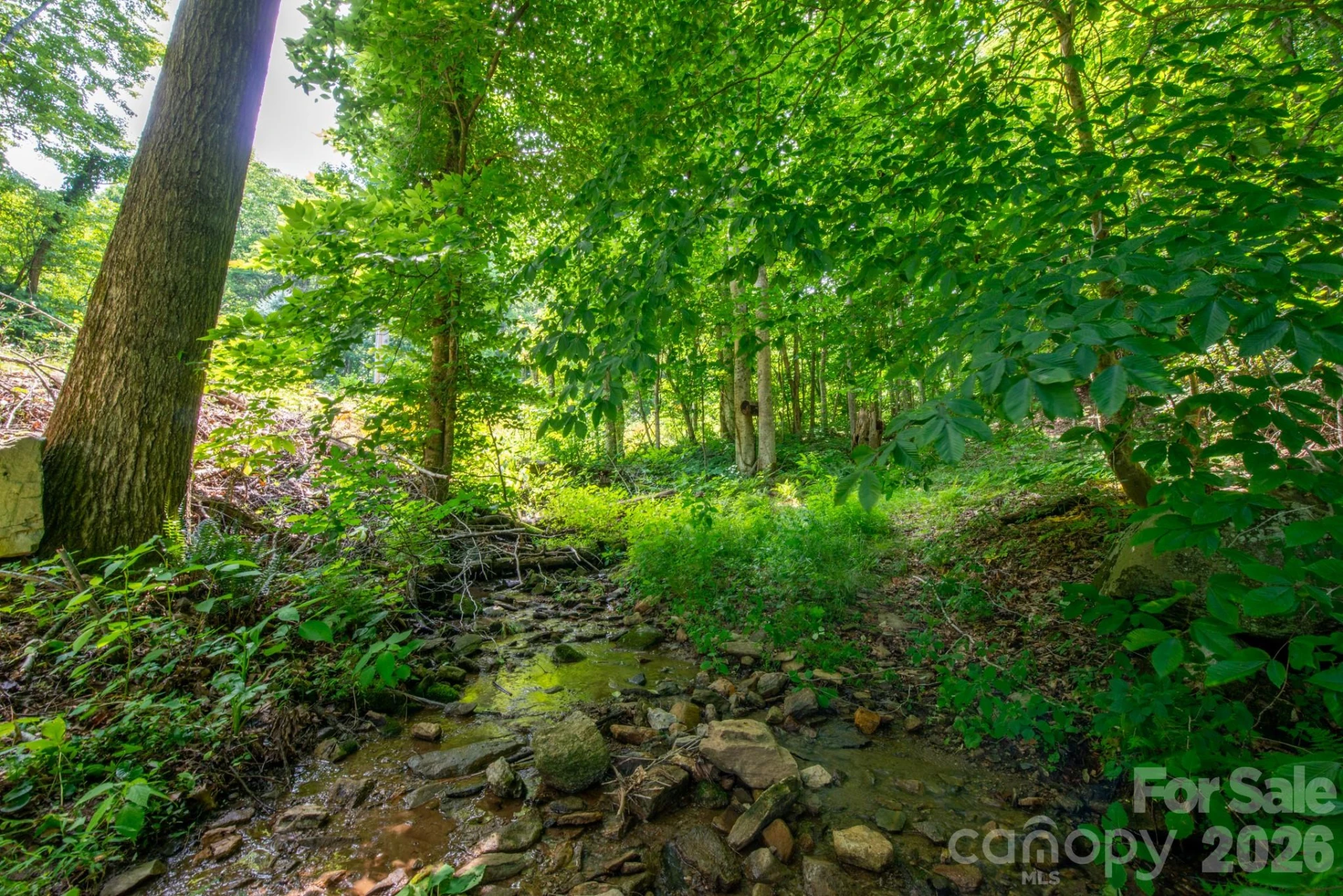 ### Board Tree Road #4 - Photo 14
