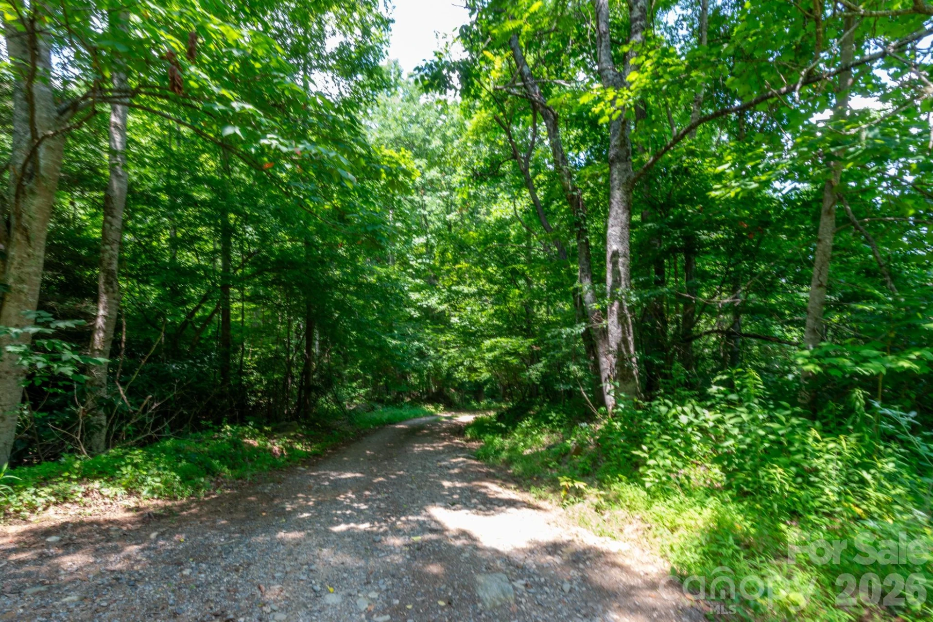 ### Board Tree Road #4 - Photo 15