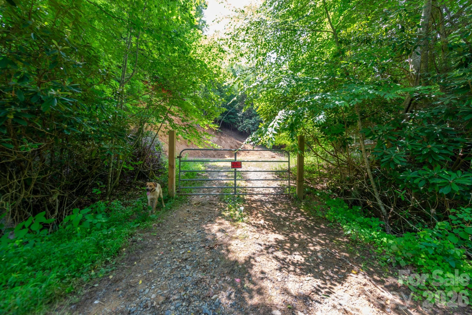 ### Board Tree Road #4 - Photo 16