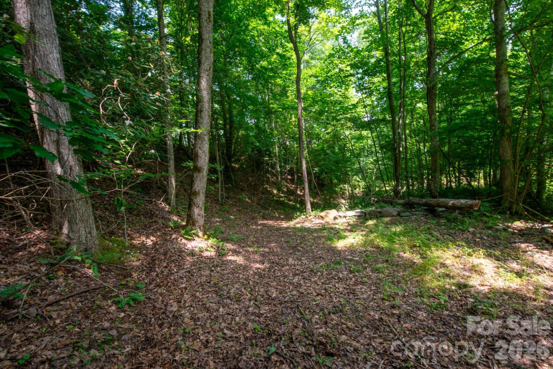 ### Board Tree Road #4 - Photo 10
