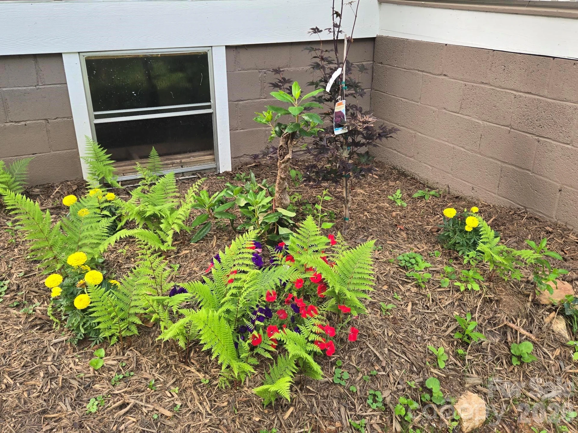 61 Wright Lane - Photo 23