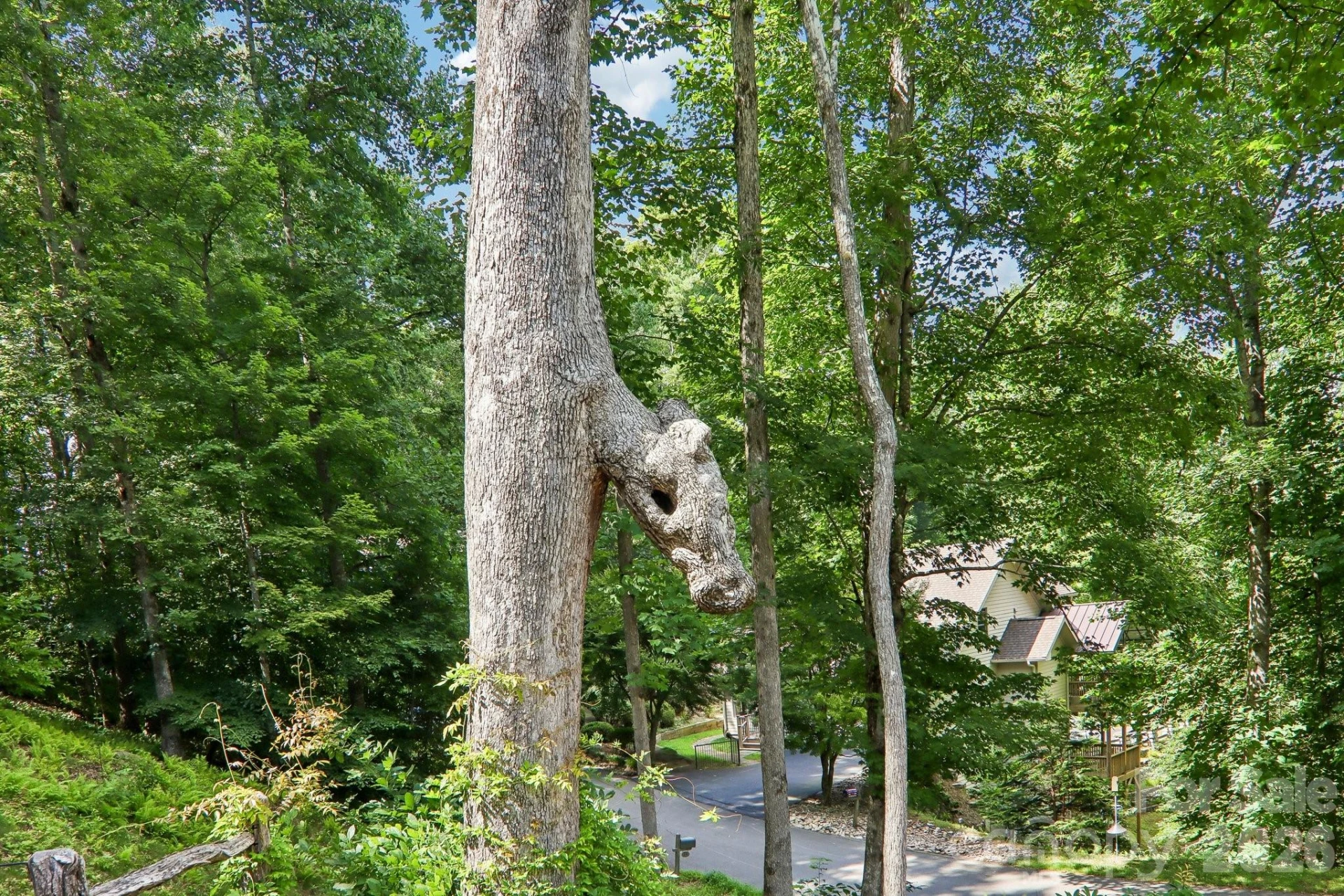24 Caroline Lane - Photo 28