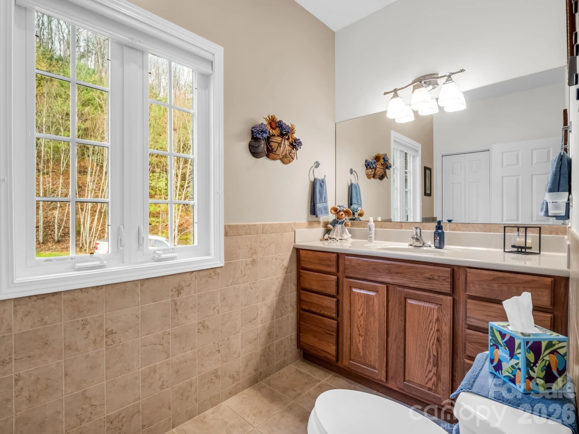 29 Spring Heights Court - Photo 11
