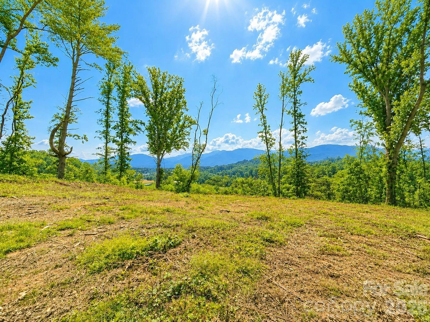 271 Sorrells Cove Road #C2 - Photo 6