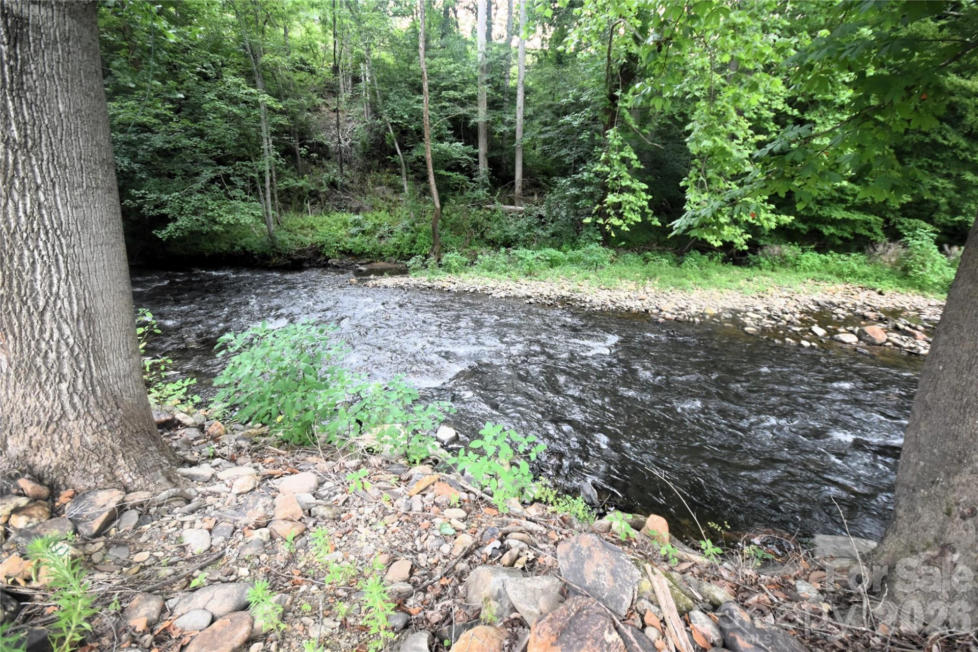 0000 Swift Stream Lane #9 - Photo 5