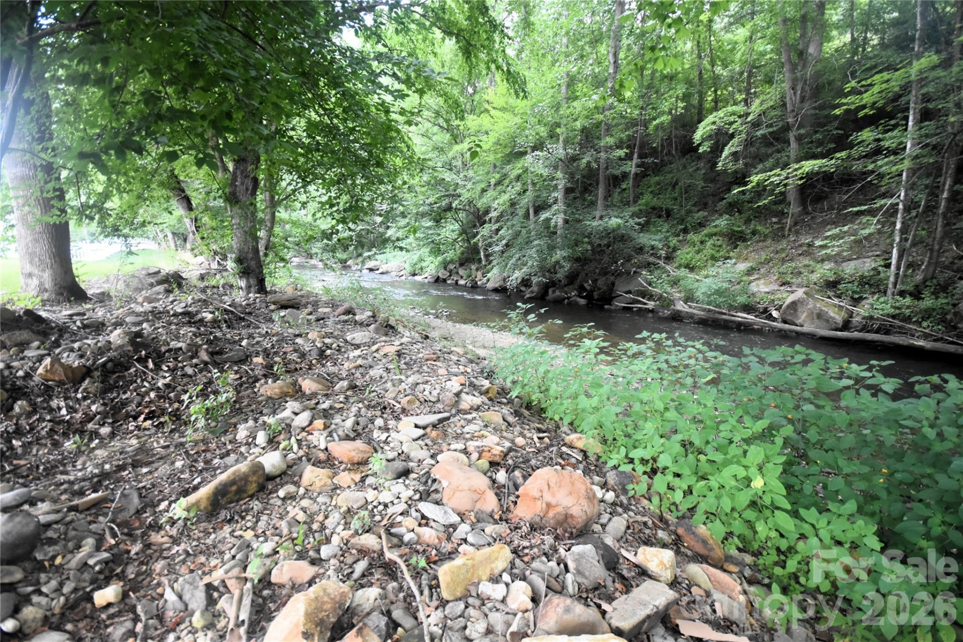 0000 Swift Stream Lane #9 - Photo 7