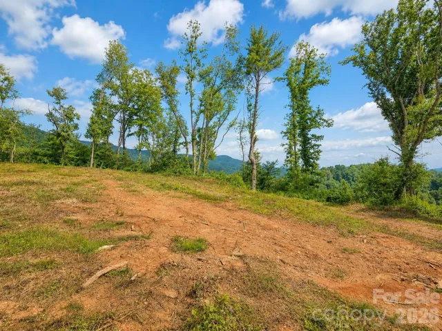 275 Sorrells Cove Road, Waynesville, NC, 28786