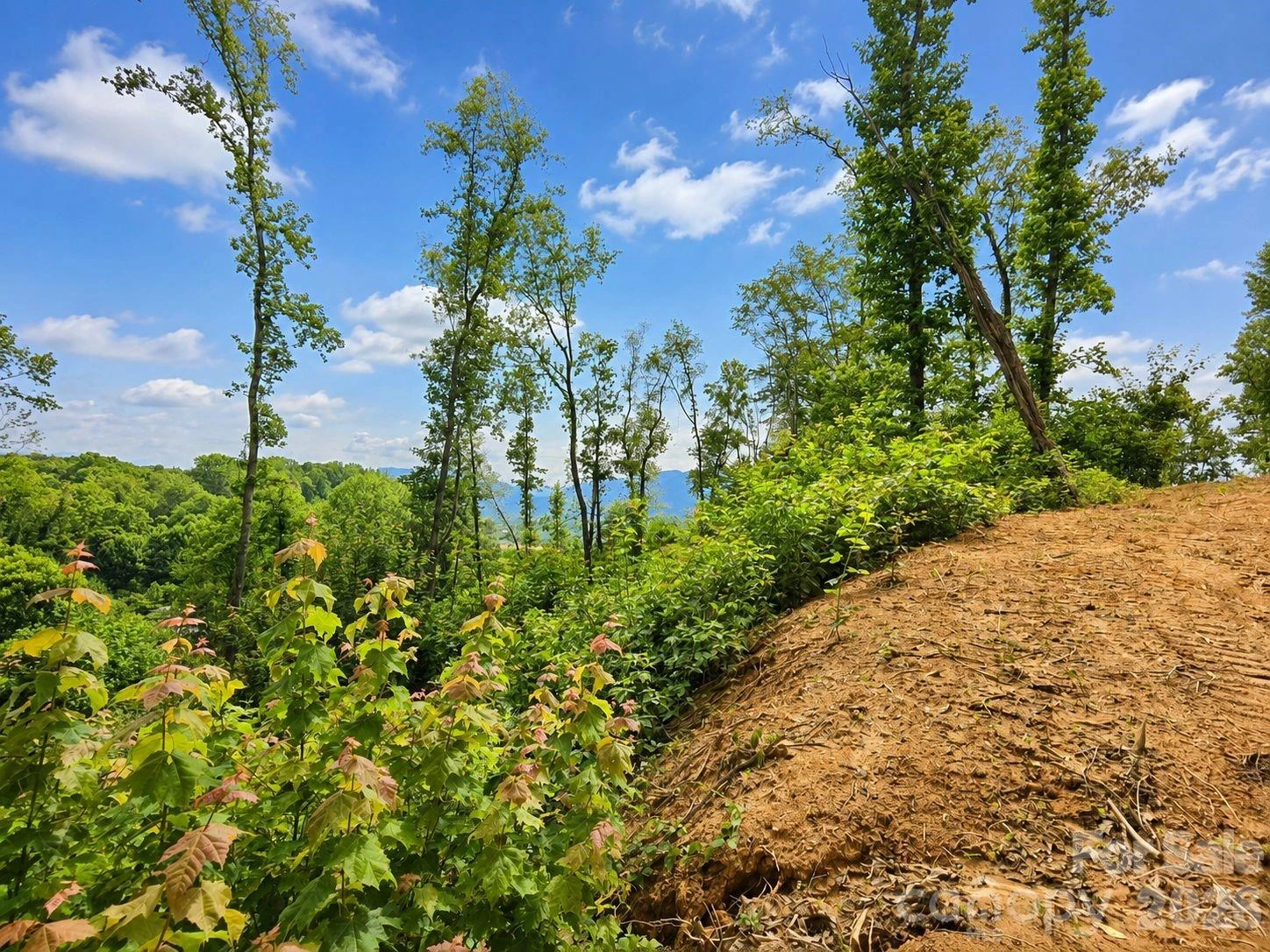 275 Sorrells Cove Road #C1 - Photo 16