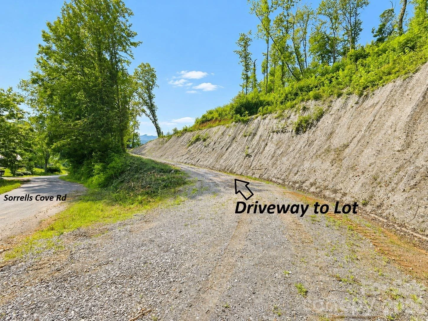275 Sorrells Cove Road #C1 - Photo 3