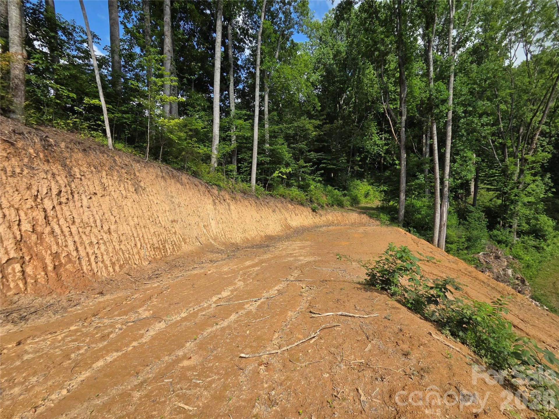 275 Sorrells Cove Road #C1 - Photo 7