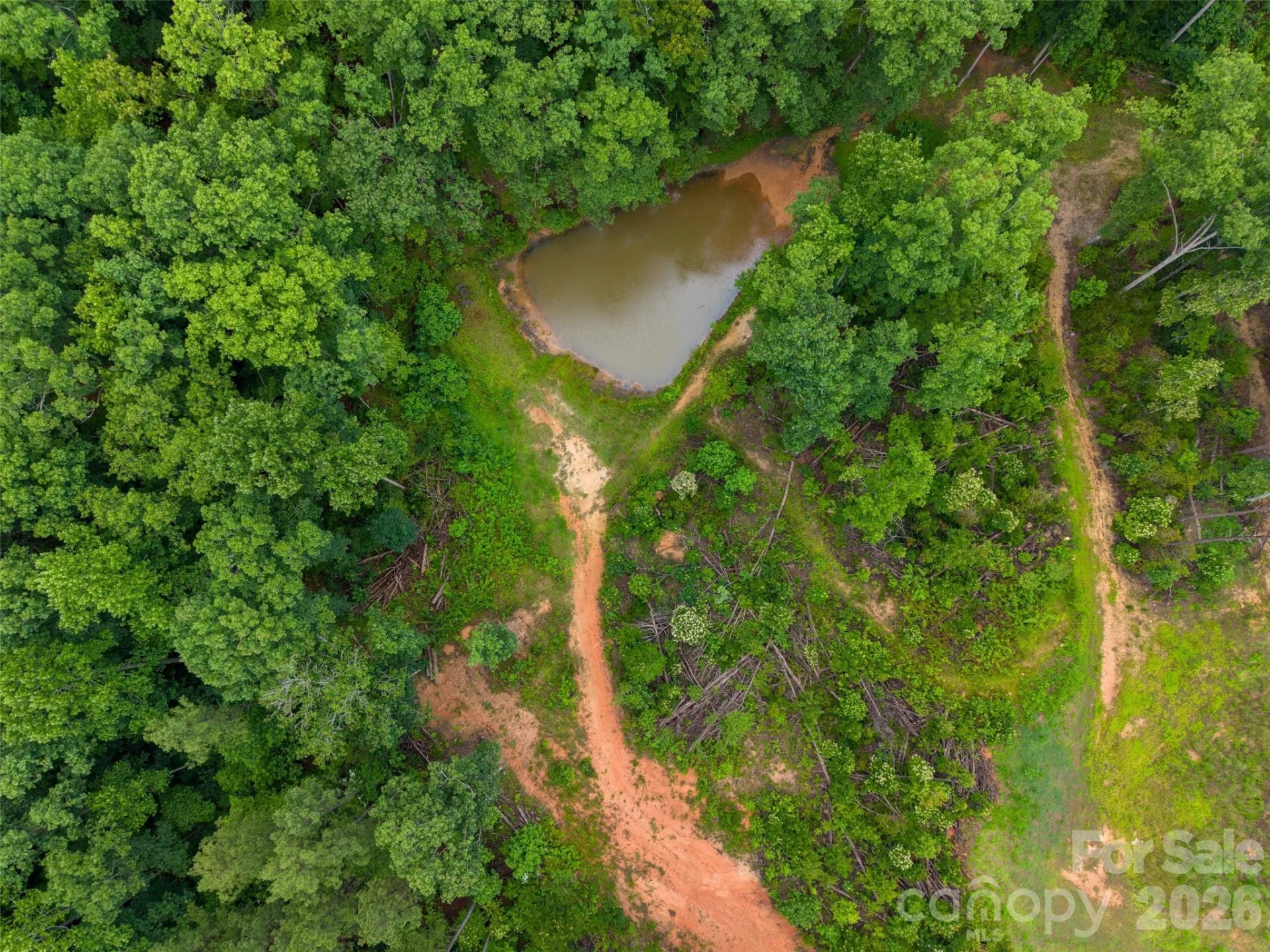443 Polk County Line Road - Photo 25