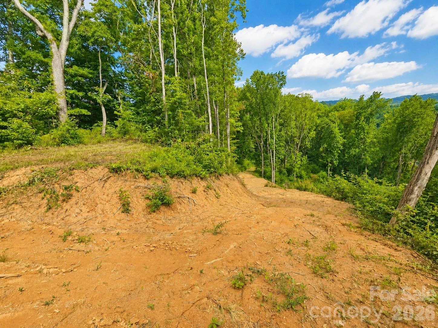 275 Sorrells Cove Road #C-1, C-2 - Photo 11