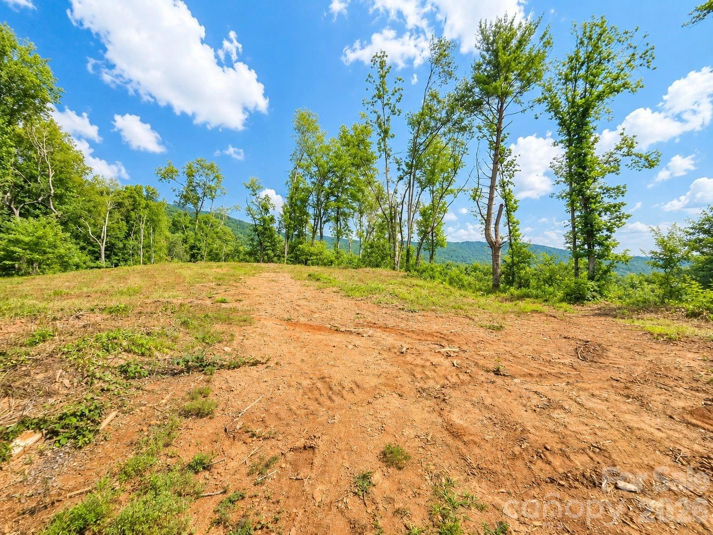 275 Sorrells Cove Road #C-1, C-2 - Photo 3