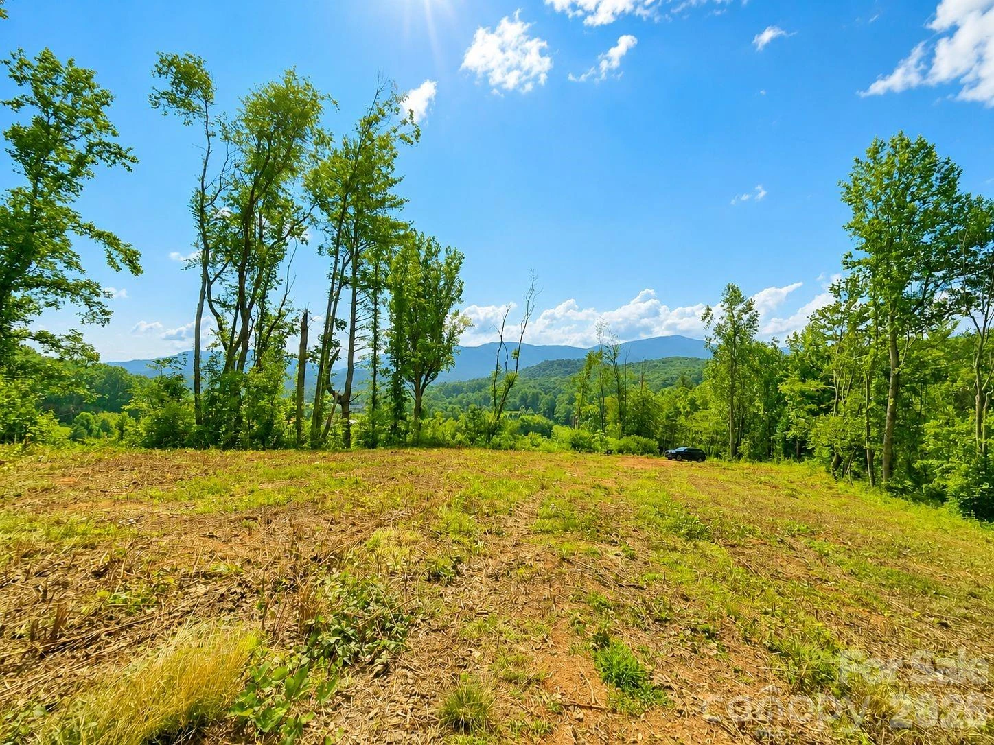 275 Sorrells Cove Road #C-1, C-2 - Photo 8